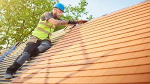 Best Roof Maintenance and Cleaning  in Vilonia, AR